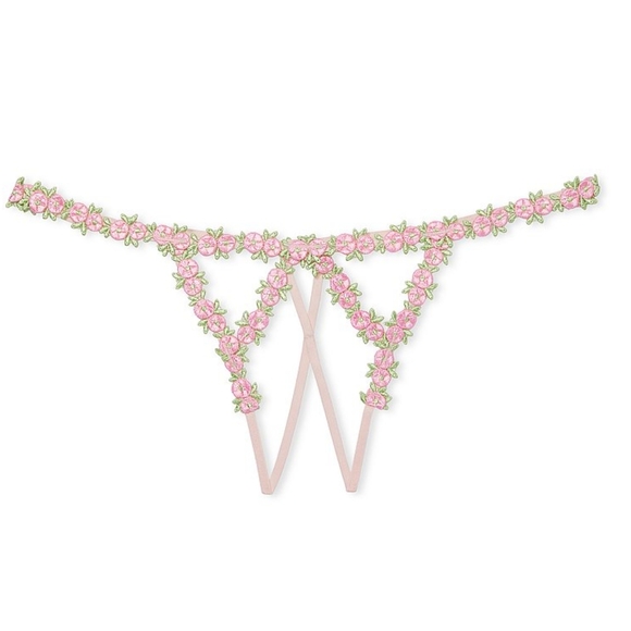 💐 S 💕 VS Dream Angels Rosebud Embroidery Crotchless V-String Panty 💐 - Picture 4 of 16